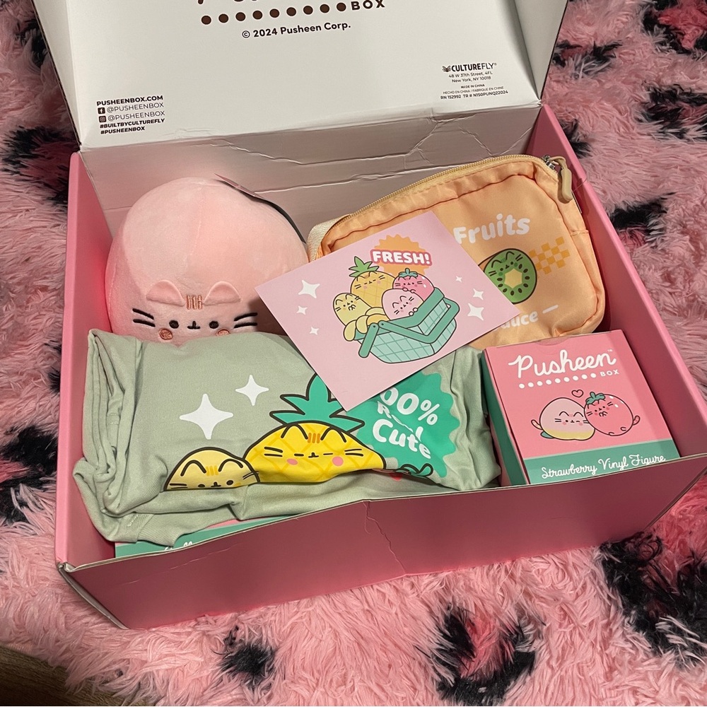 NIB PUSHEEN BOX | Summer 2024